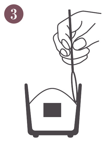 How to enjoy fragrant wood and kneaded incense